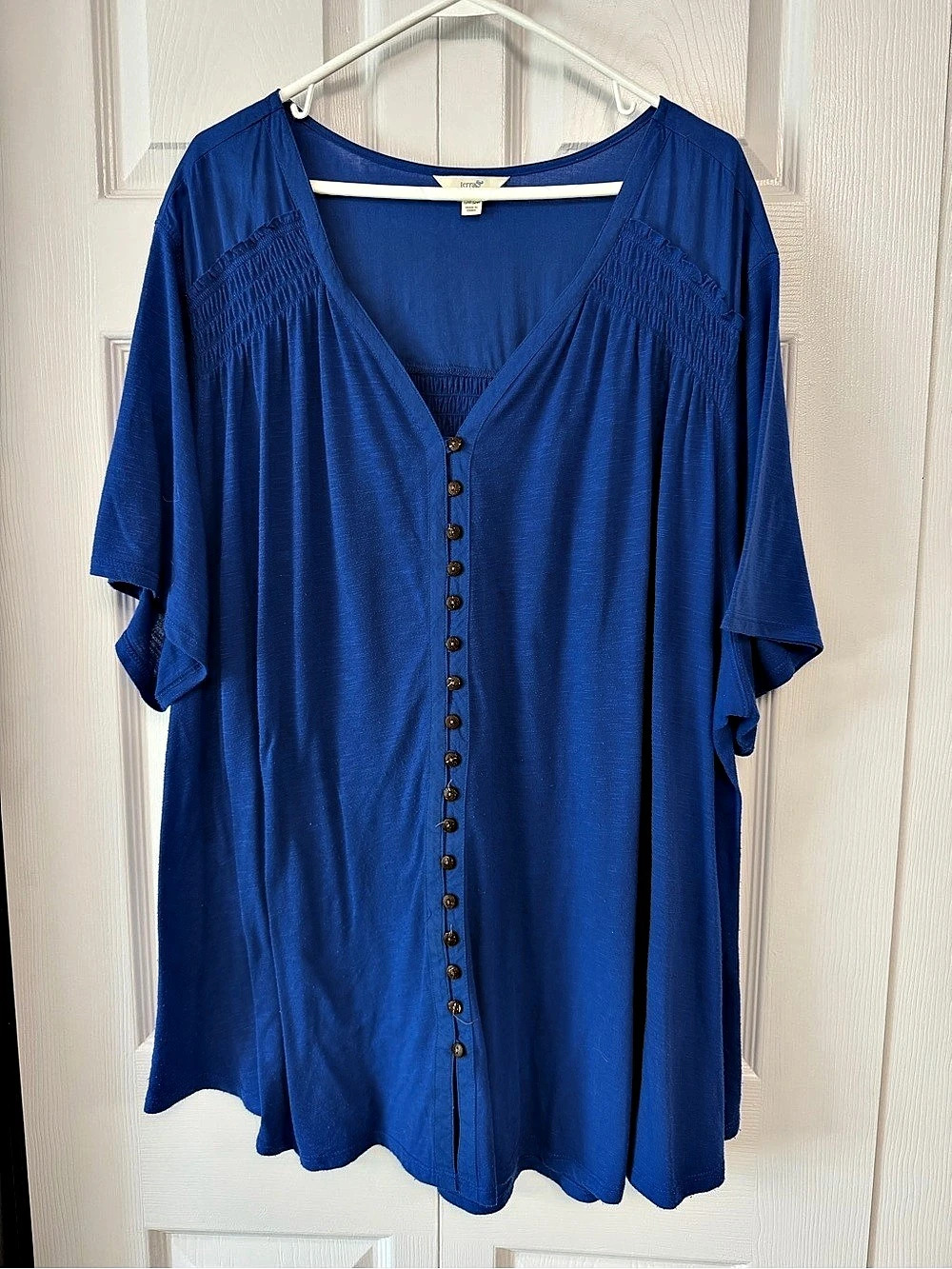 Terra & Sky Women's Plus Smocked Button-Front Top in Blue